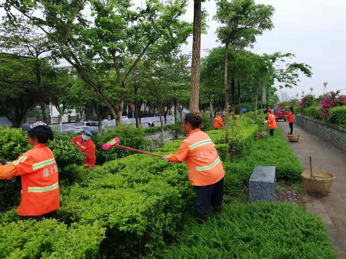 梧州市园林绿化工程处日常管养工作动态(6月26日)